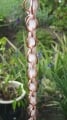 Rain Chains